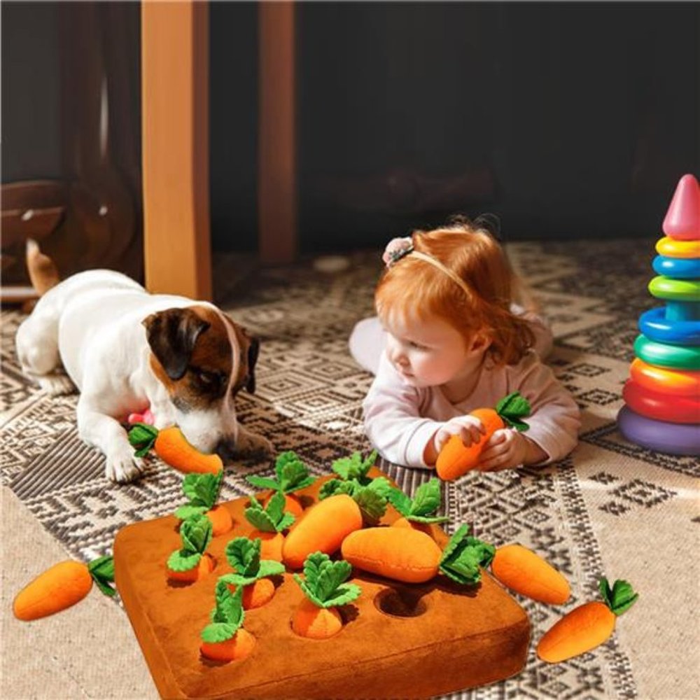 Carrots Dog Interactive Toys Snuffle Mat for Dogs, 13''x13'' Carrot Snuffle Toy - Picture 5 of 5